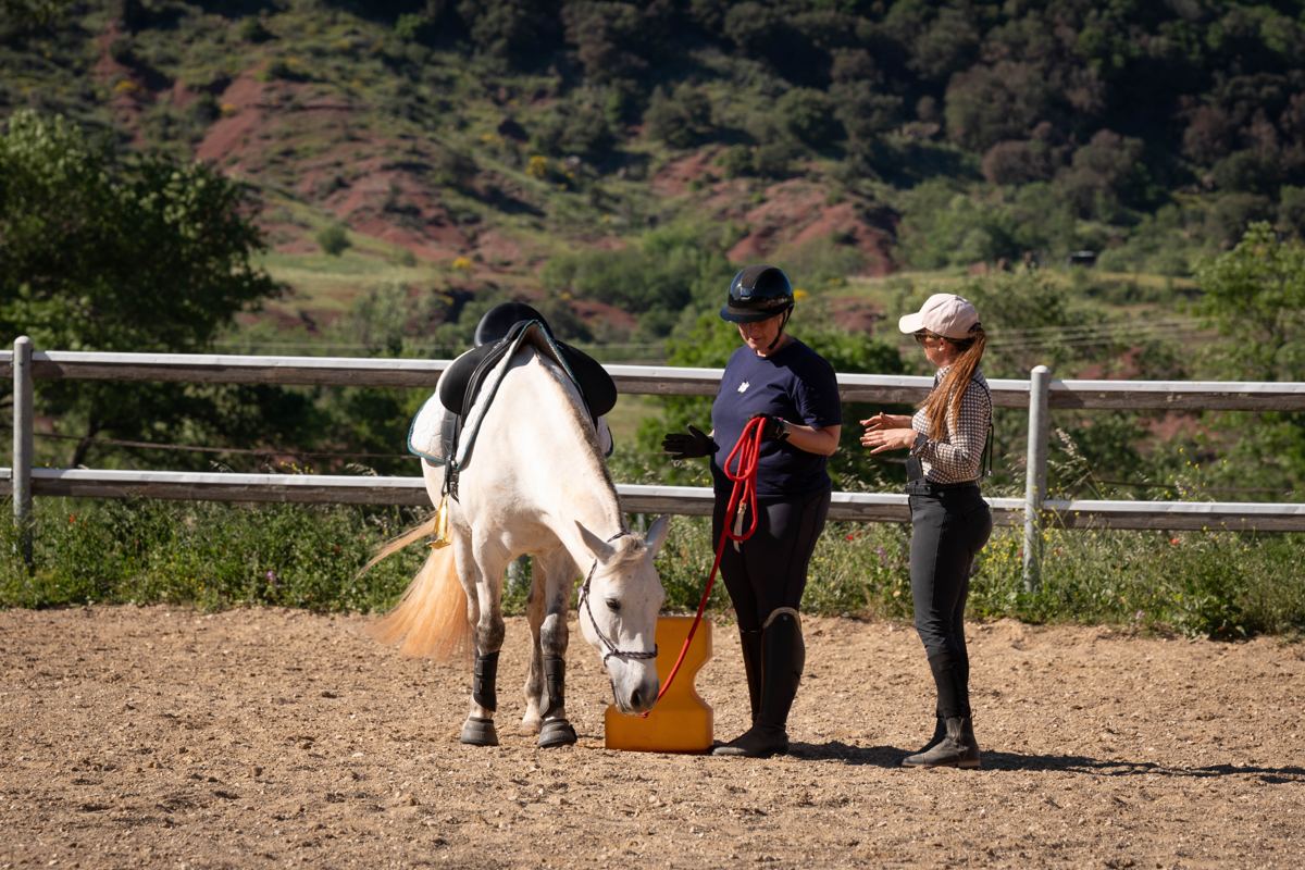 Elsa accompagne une cavalière dans le travail à pied avec un cheval blanc
